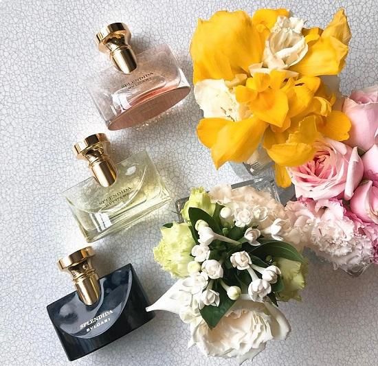 M&ugrave;i hương nước hoa Bvlgari Splendida Rose Rose dịu d&agrave;ng nữ t&iacute;nh